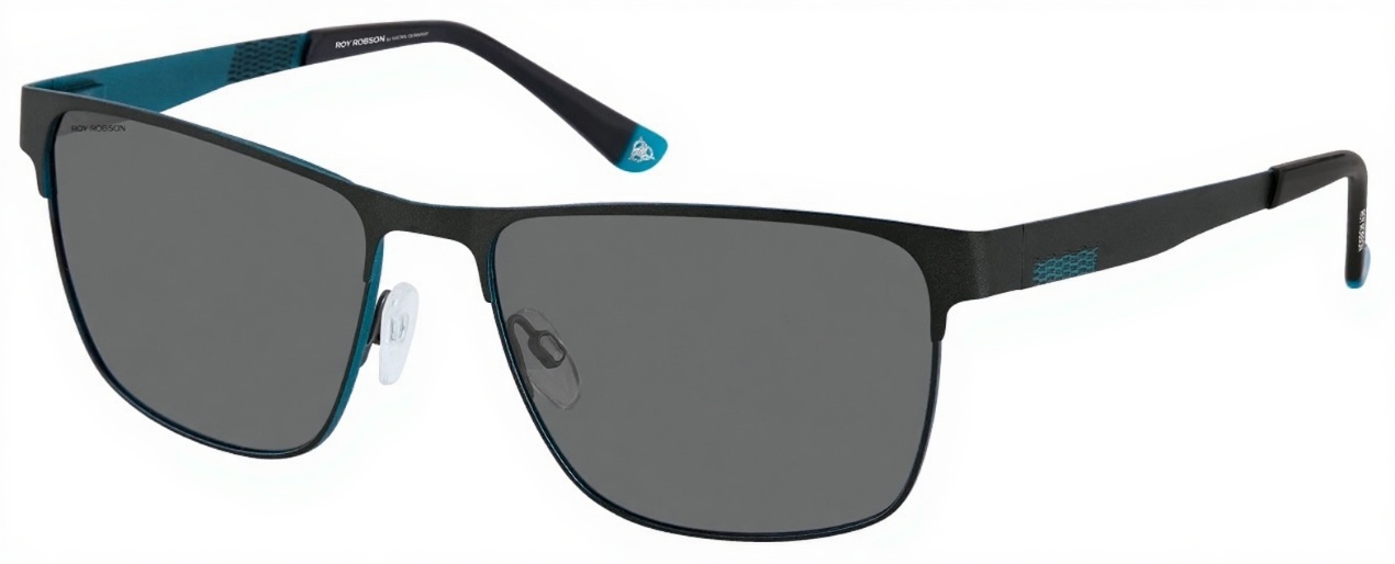 Очки Roy Robson 70110 003 