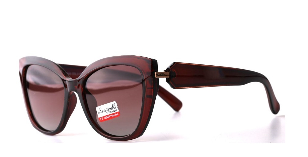 Очки Santarelli ST2540 C2
