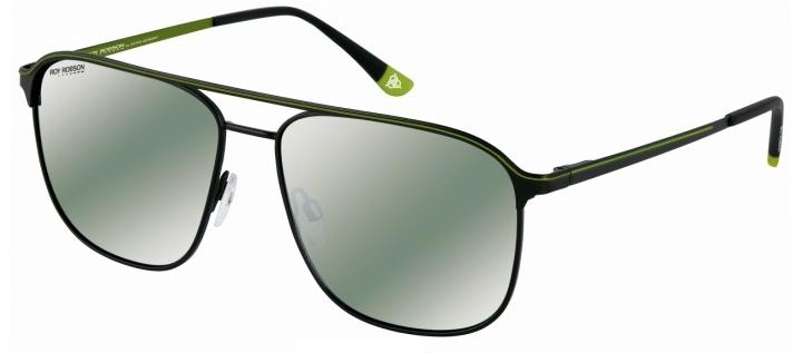 Очки Roy Robson 70090 002