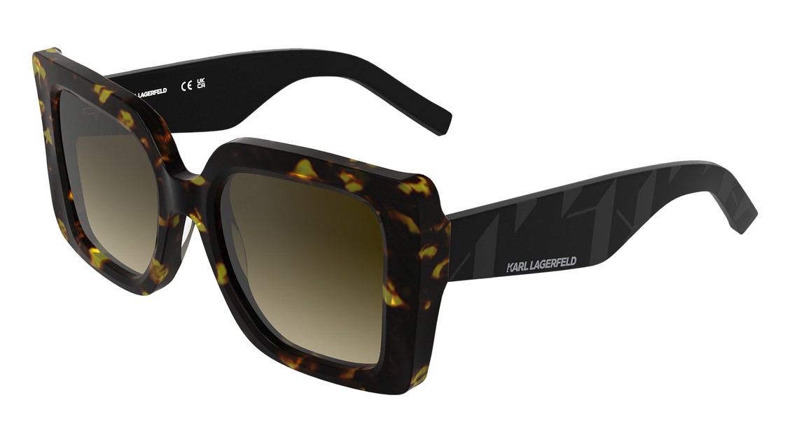 Очки KARL LAGERFELD KL6203S 242