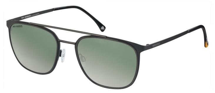 Очки Roy Robson 70075 001