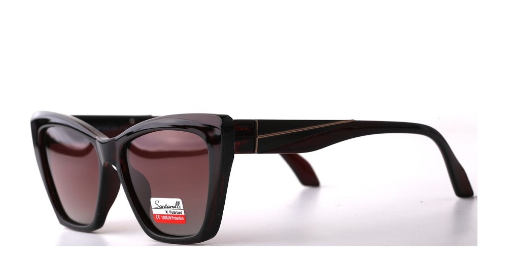 Очки Santarelli ST2355 C2