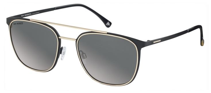 Очки Roy Robson 70075 003