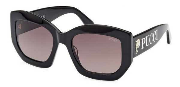 Очки EMILIO PUCCI EP 211 01B