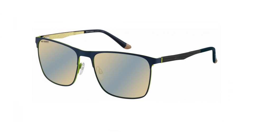 Очки Roy Robson 70085 002
