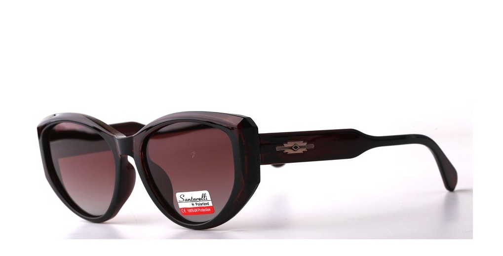 Очки Santarelli ST2379 C2
