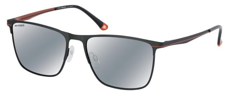 Очки Roy Robson 70095 003