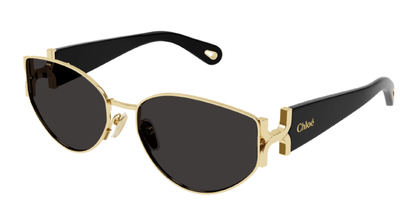 Очки Chloe CH0260S 001 59 