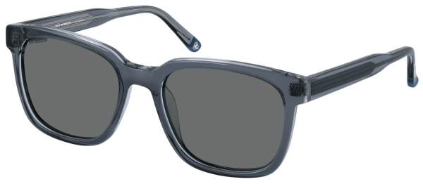 Очки Roy Robson 70118 001