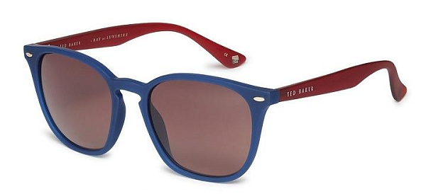 Очки TED BAKER Flemming 1595 618
