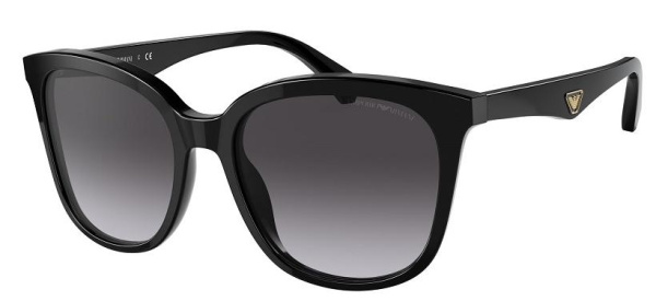 Очки Emporio ARMANI EA4157 5017/8G 55