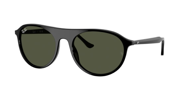 Очки RAY BAN RB2215 901/31 59