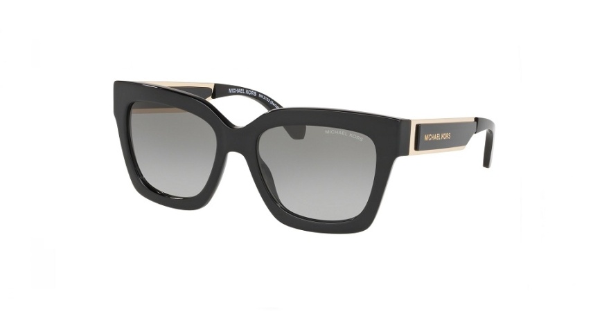 Очки MICHAEL KORS Berkshires (MK 2102) 300511 54