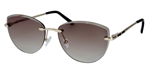 Очки OPK.OPTICA Е0009 С2