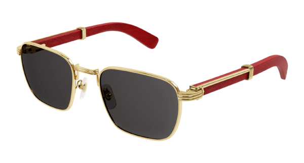 Очки Cartier CT0363S-004 54