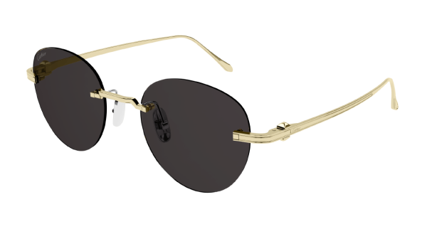 Очки Cartier CT0331S-002 51