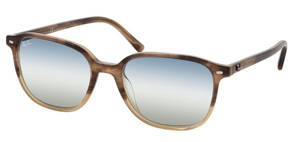 Очки RAY BAN RB2193 LEONARDO 1327/GF 53