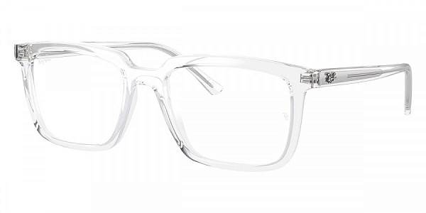 Оправа RAY BAN RB7239 2001 54