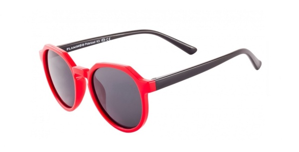 Очки FLAMINGO 925 c.02