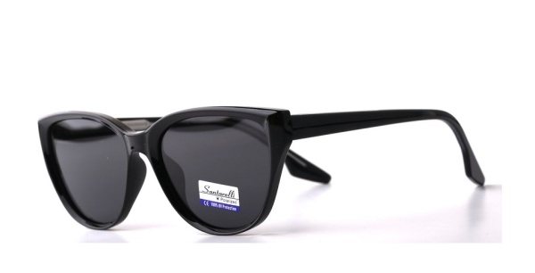 Очки Santarelli RN8001 C1