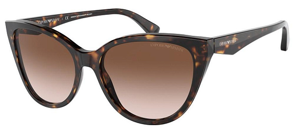 Очки Emporio ARMANI EA4162 5879/13 55