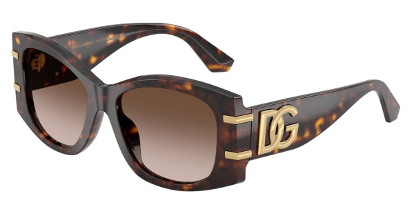 Очки DOLCE&GABBANA DG 4501 502/13 54