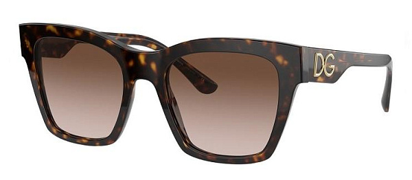 Очки  DOLCE&GABBANA DG 4384 502/13 53 