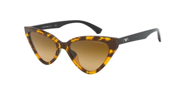 Очки Emporio ARMANI EA4136 5795/2L 55 