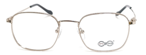 Оправа OPK.OPTICA R8729 C2 (дет.)