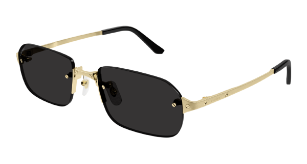 Очки Cartier CT0460S-001 56