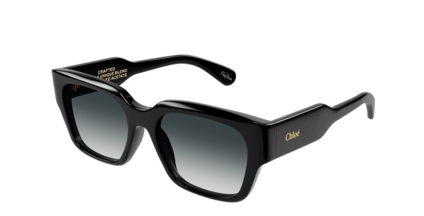 Очки Chloe CHS0190 001 54