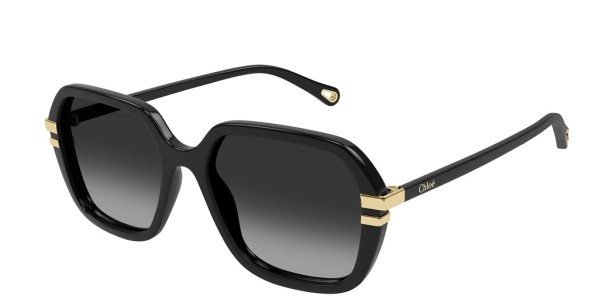 Очки Chloe CH0204S 001 57