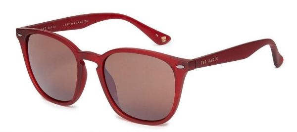 Очки TED BAKER Flemming 1595 253