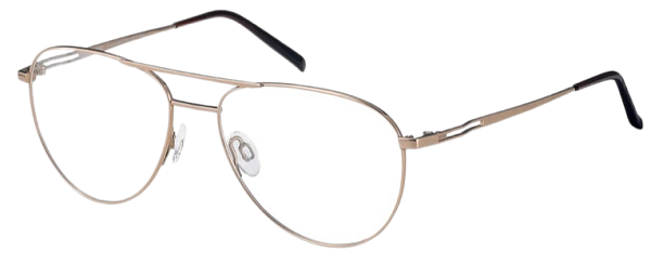 Оправа Charmant CH 29705 GP