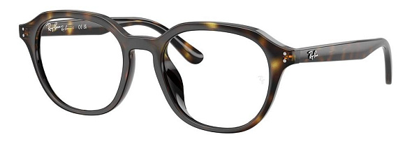 Оправа RAY BAN RB 7259 D 2012 52