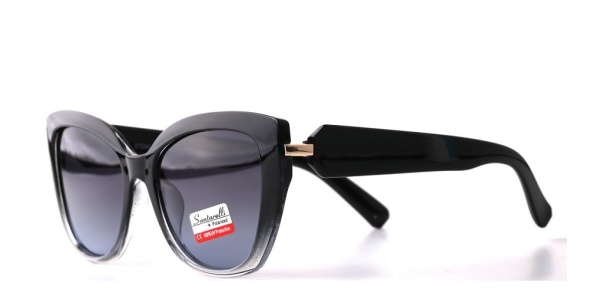 Очки Santarelli ST2540 C5