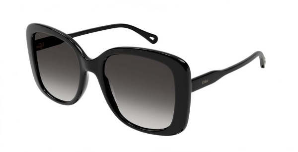 Очки Chloe CH0125S 001 55