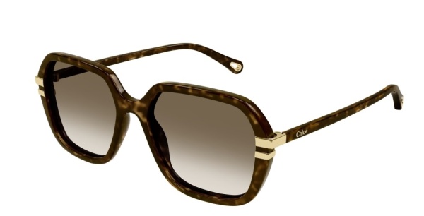 Очки Chloe CH0204S 002 57