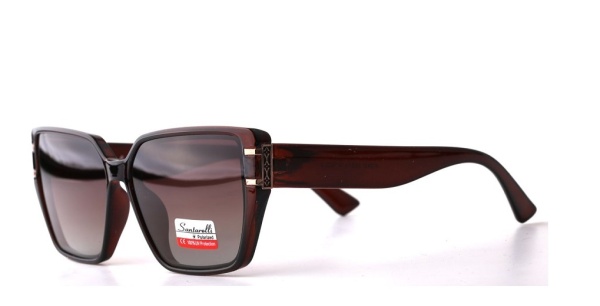 Очки Santarelli ST2437 C2