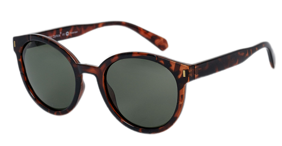 Очки OPK.OPTICA Е0018 С2