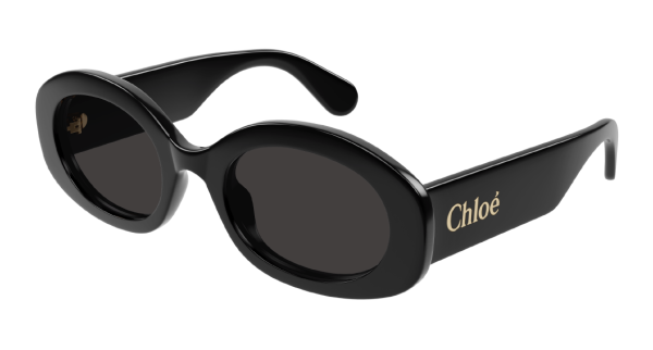 Очки Chloe CH0258S 001 53 