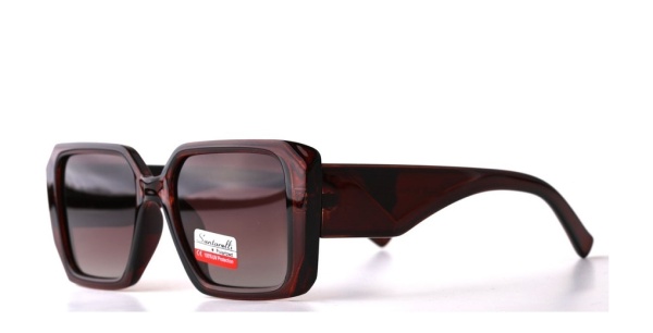 Очки Santarelli ST2535 C2