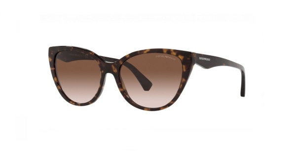 Очки Emporio ARMANI EA4162 5879/13 55