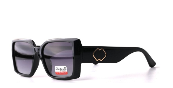 Очки Santarelli ST2435 C1