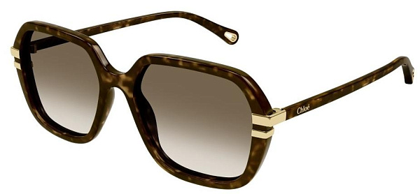 Очки Chloe CH0204S 002 57