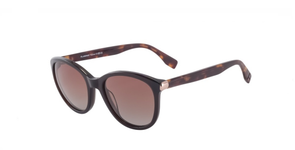 Очки FLAMINGO F1003 c.02