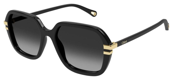 Очки Chloe CH0204S 001 57