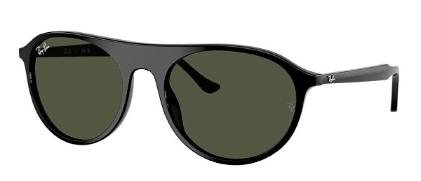 Очки RAY BAN RB2215 901/31 59