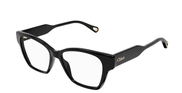 Оправа Chloe CH0200O-006 53