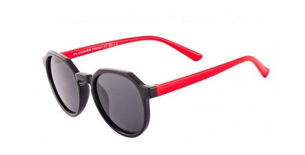 Очки FLAMINGO 925 c.01 